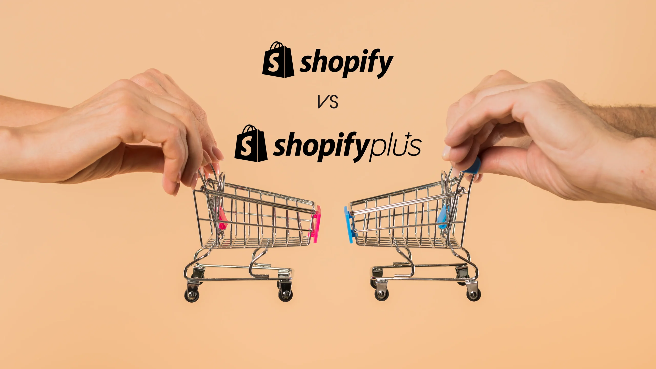 Shopify vs Shopify Plus : A Friendly Guide to Picking the Best for Your Business in 2024